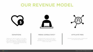 10 Revenue Model for Grassroot Initiative