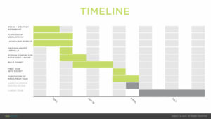 13 Initiative Timeline