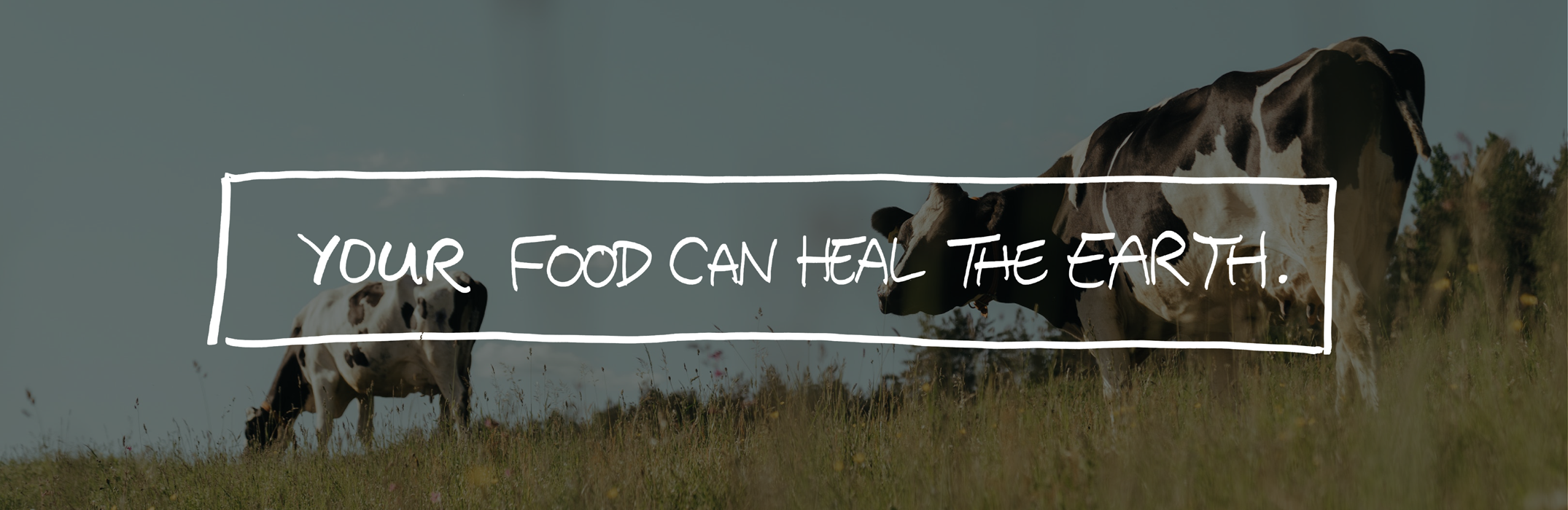 Food can heal the Earth