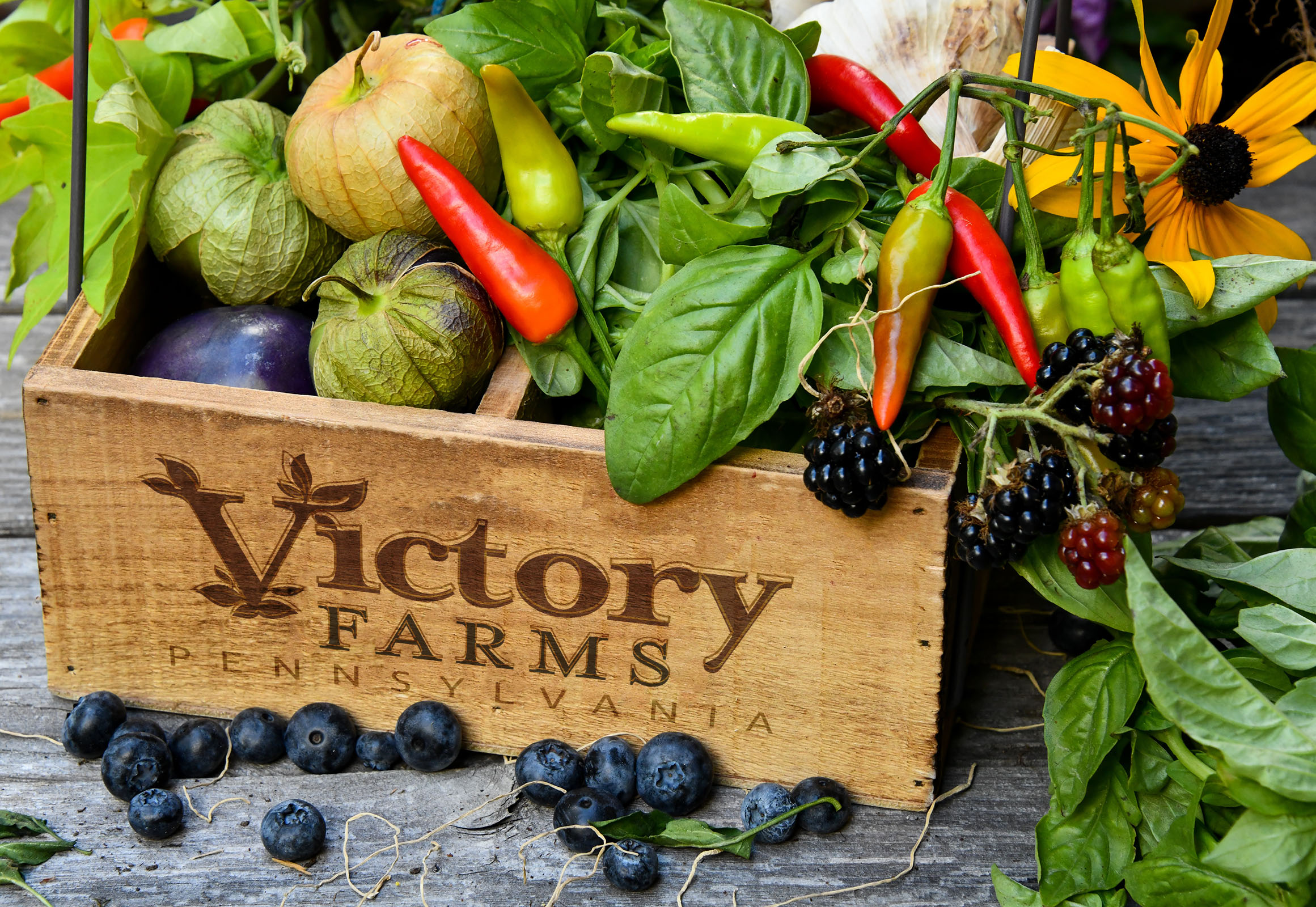 Branded Produce Box Mockup