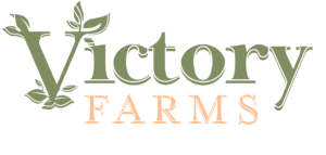 5 Simple CSA Farm Logo